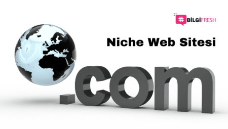 Web sitesi domaini seçmek Niche Seçimi nedir?