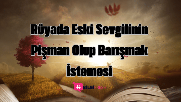 rüyada eski sevgilinin pişman olup barışmak istemesi